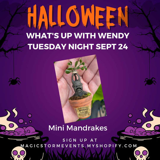 What's Up With Wendy? Mini Mandrakes - September 24th, 2024